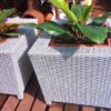 Mini Cubi Rattan Planter