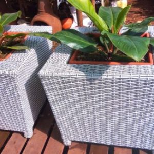 Mini Cubi Rattan Planter