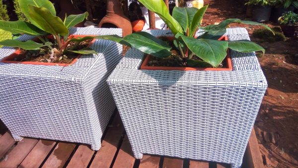 Mini Cubi Rattan Planter