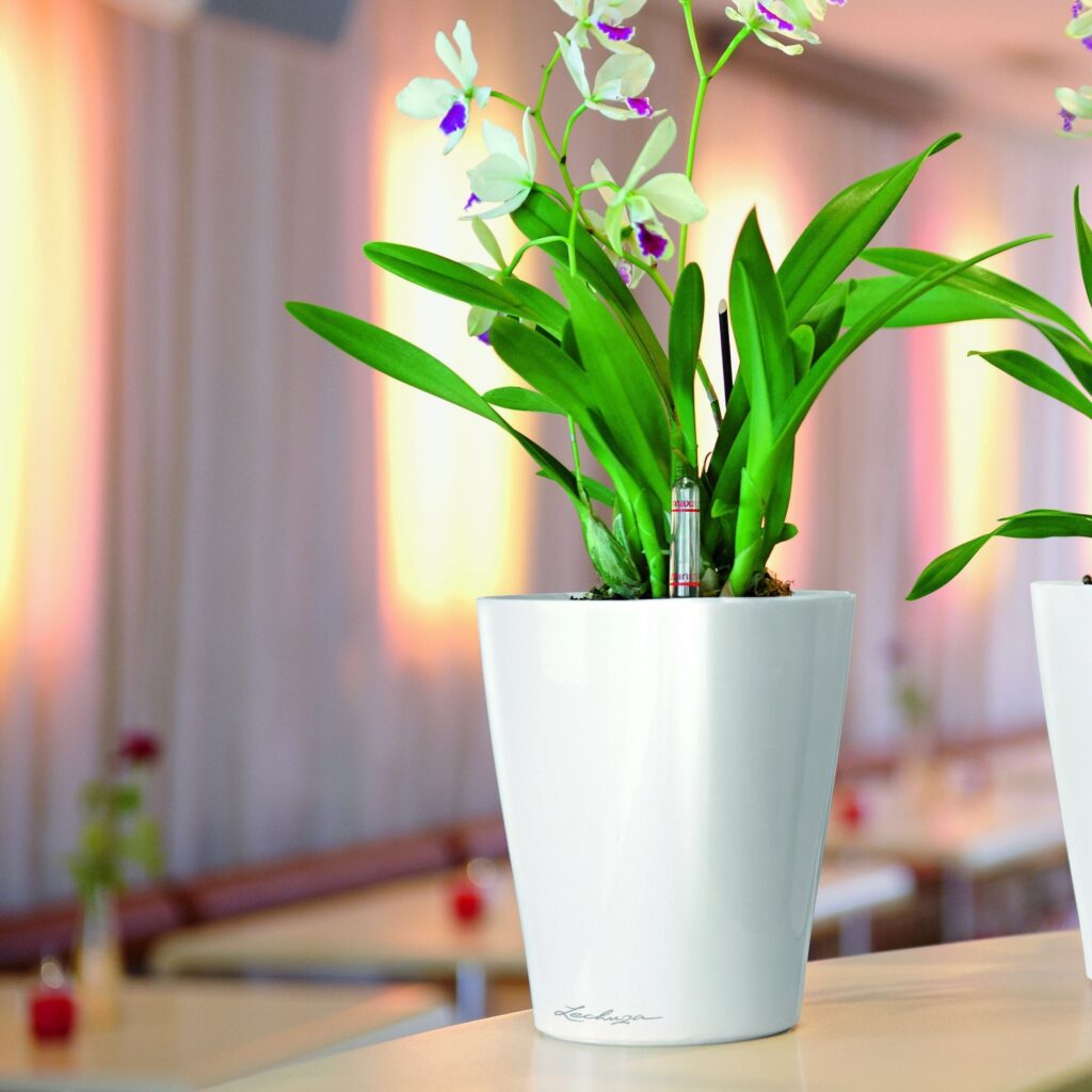 Table Top Planters Archives Planters & Flower delivery Nairobi