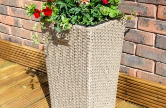 Types of Planters to Select for Your Plants