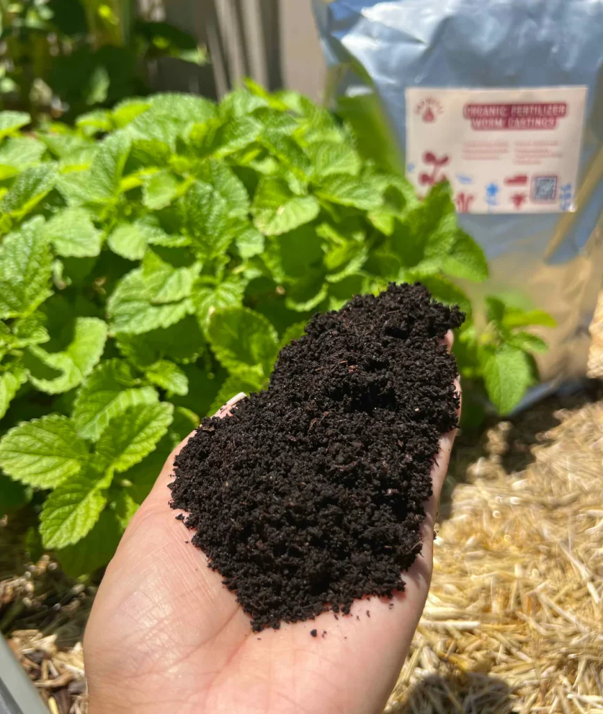 Potting Medium and Fertilizers